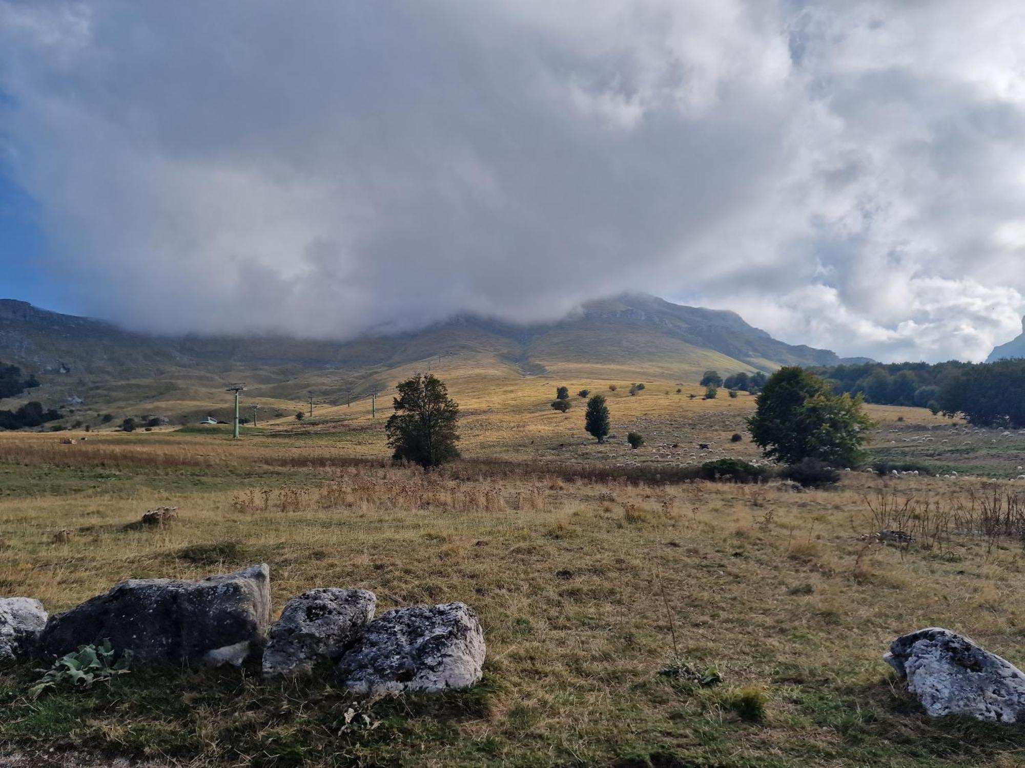Apartamento La Tana Del Capriolo Prati di Tivo Exterior foto