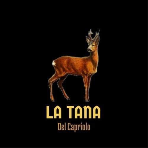 Apartamento La Tana Del Capriolo Prati di Tivo Exterior foto